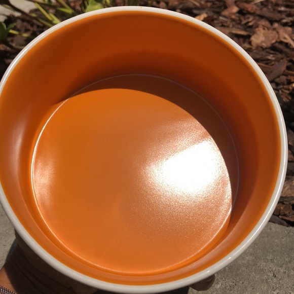 Medium Fall Rae Dunn STUFFED Dog Bowl - Picture 3 of 3